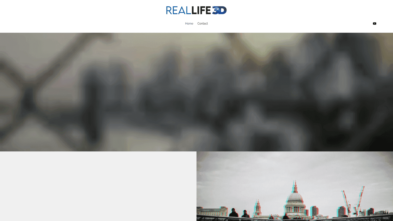 RealLife3D logo